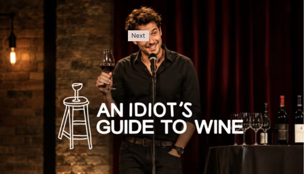Actor para Fever “AN IDIOT’S GUIDE TO WINE” en VALENCIA