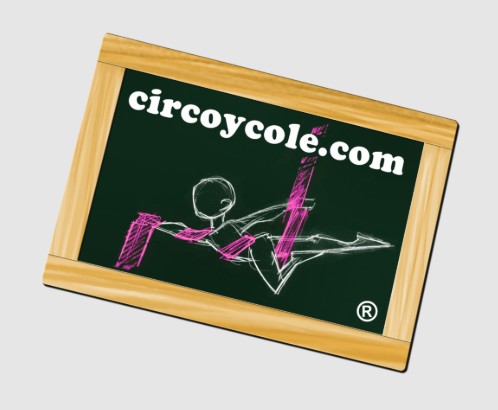 PROFESOR/A de GIMNASIA ACROBÁTICA en MADRID