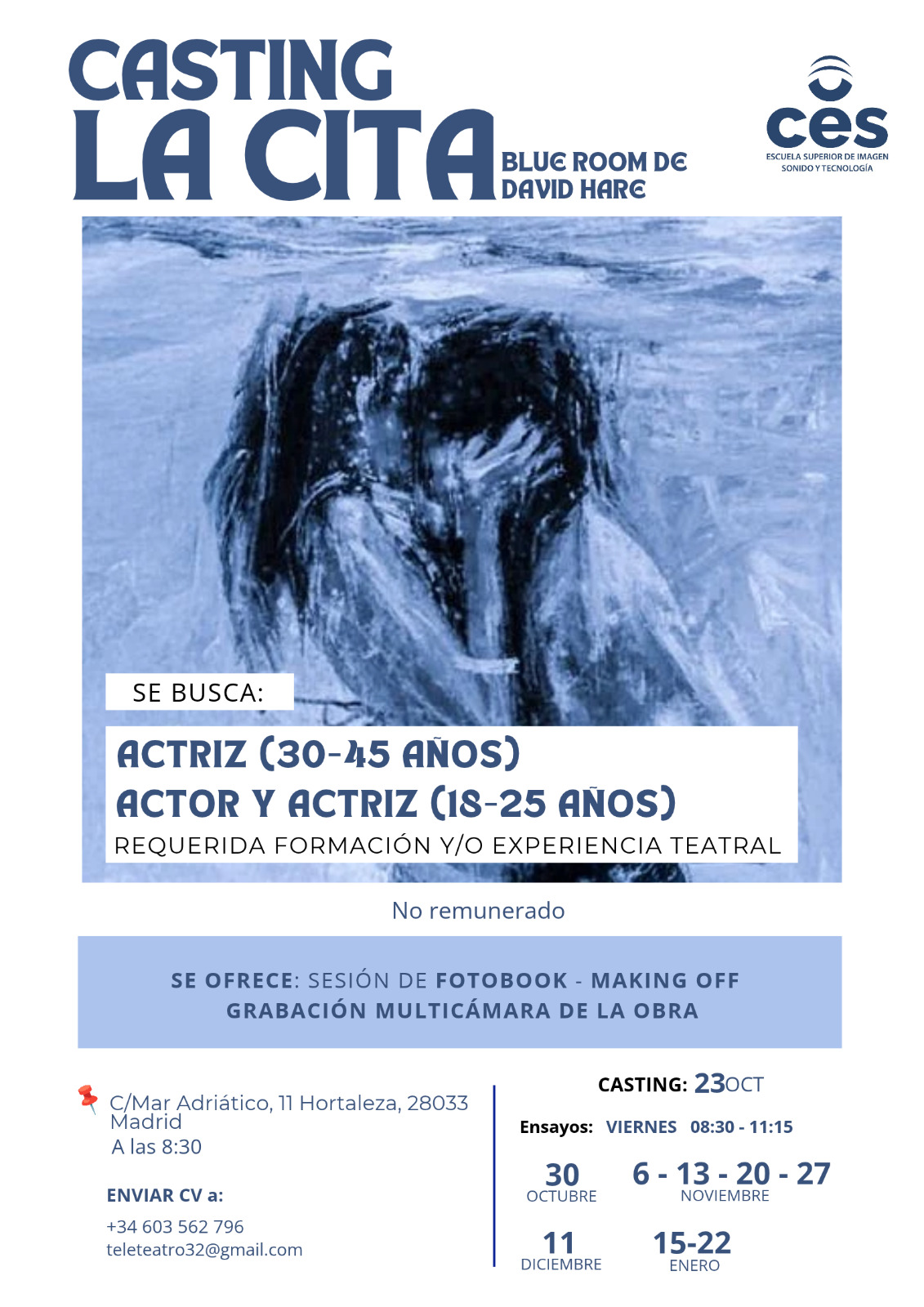 ACTOR de 18 a 26 años para TELETEATRO MULTICÁMARA en Madrid